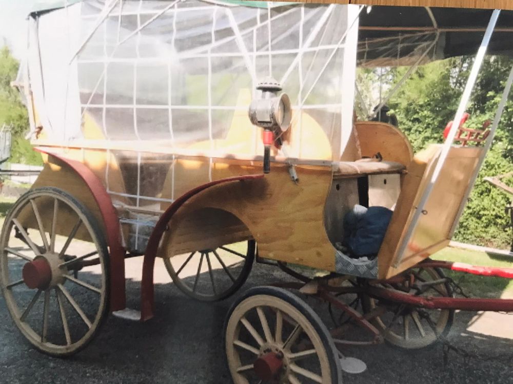 Cal�che cariole charette cheval 9 places facile a debacher 0 Saint-Gervais (85)