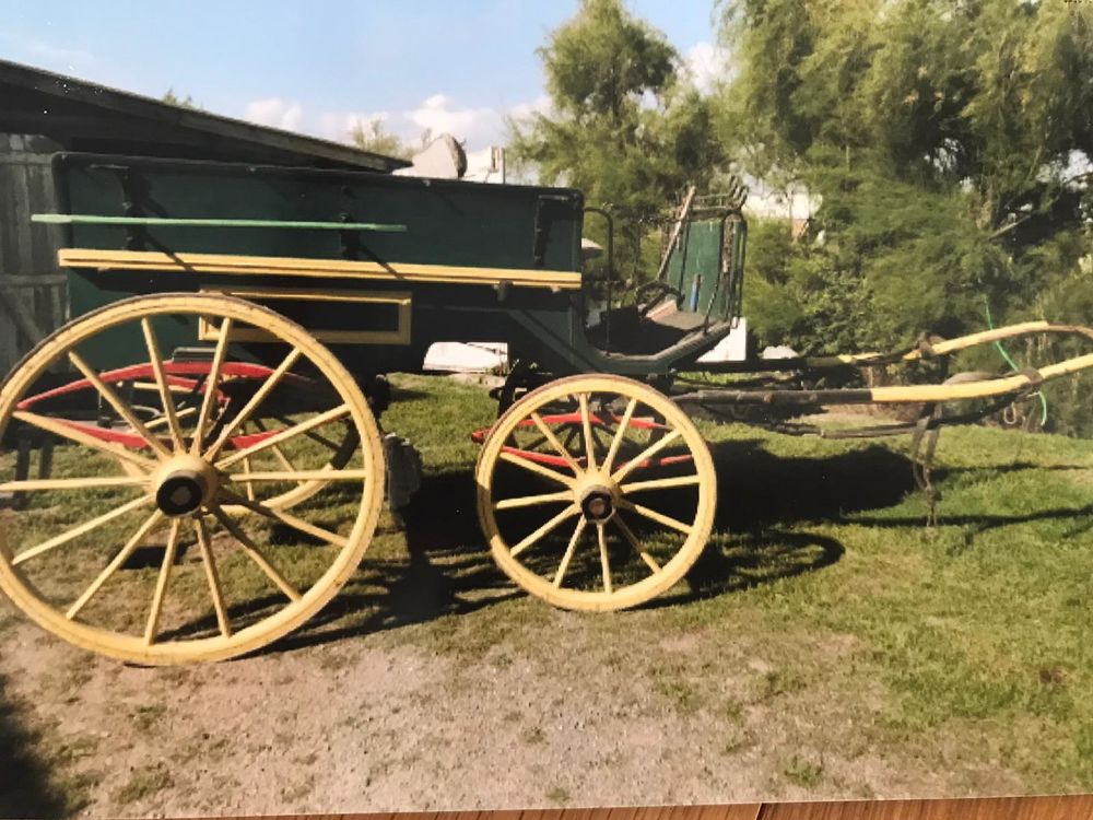 Cal�che variole charrette cheval 10 places 0 Saint-Gervais (85)