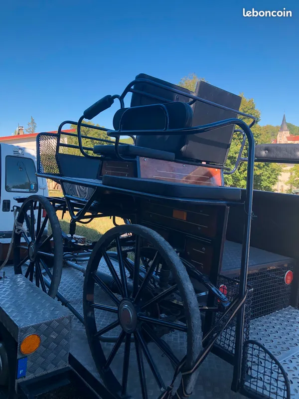 CALECHE VOITURE ATTELAGE CHEVAUX 2800 Chablis (89)