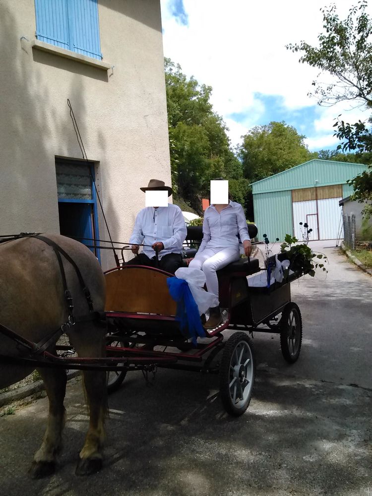 Cal�che wagonnette 8 pl, timon et brancards, freins � disque 0 Lacaze (81)