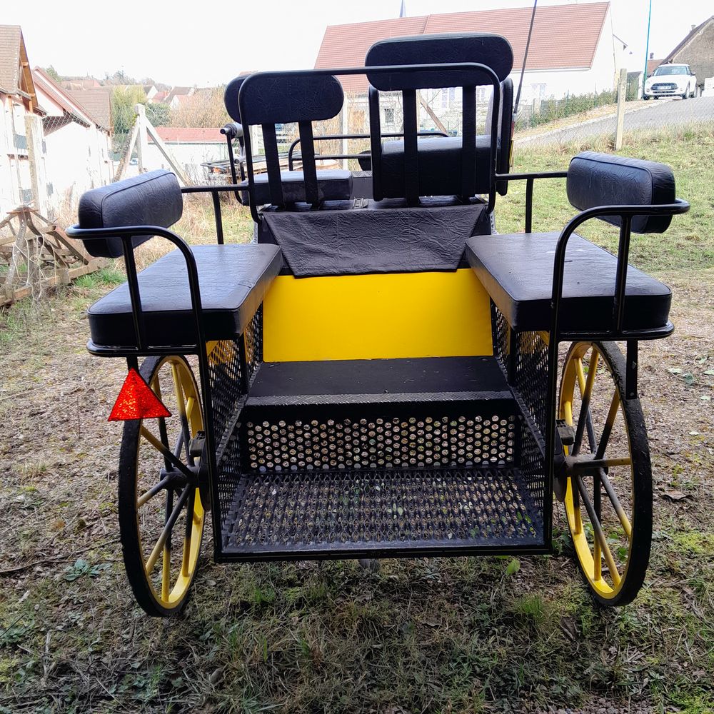 cal�che 1500 Montcenis (71)