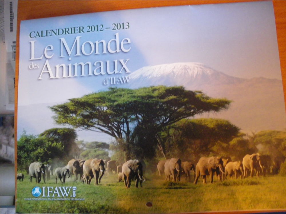 Calendrier 2012-2013
LE MONDE DES ANIMAUX 1 Elbeuf (76)