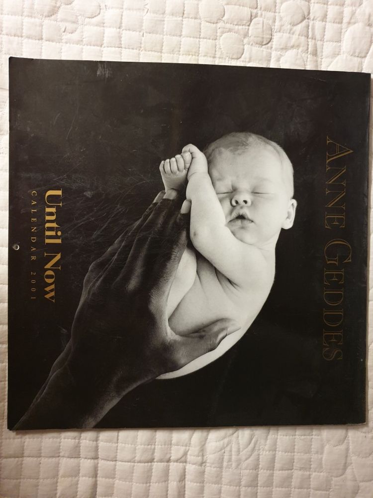 Calendrier ANNE GEDDES b�b�s poupons photos artistiques 8 Saint-Mandrier-sur-Mer (83)