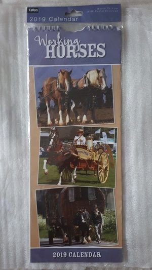 calendrier mural 5 Fleurance (32)