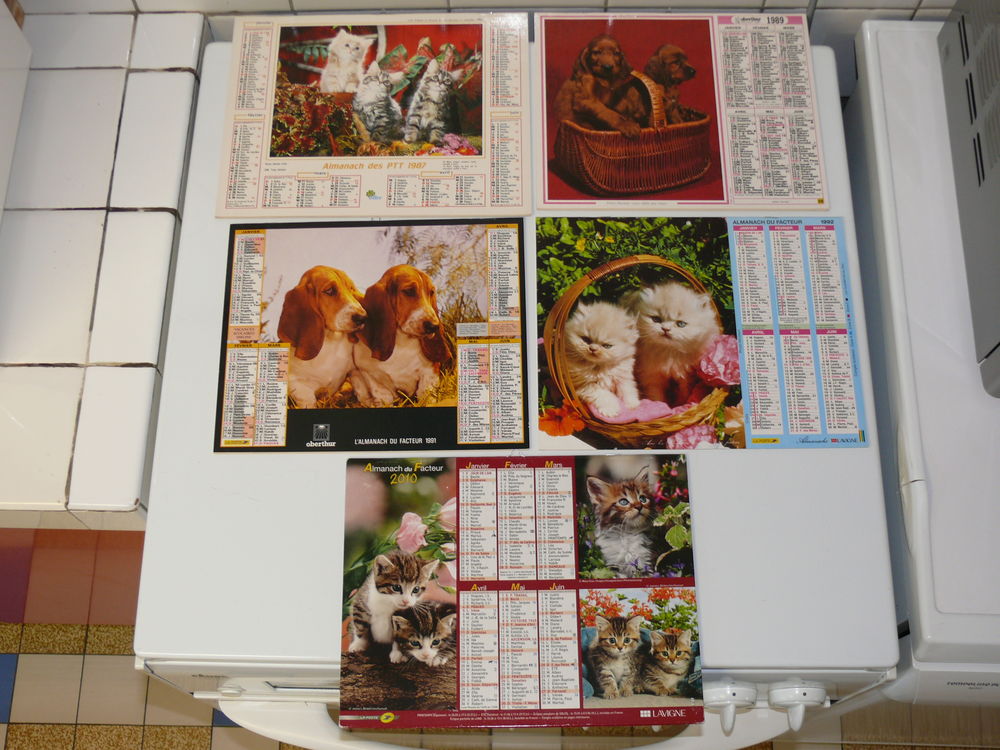 Calendriers  Chiens - Chats  5 Saintes (17)