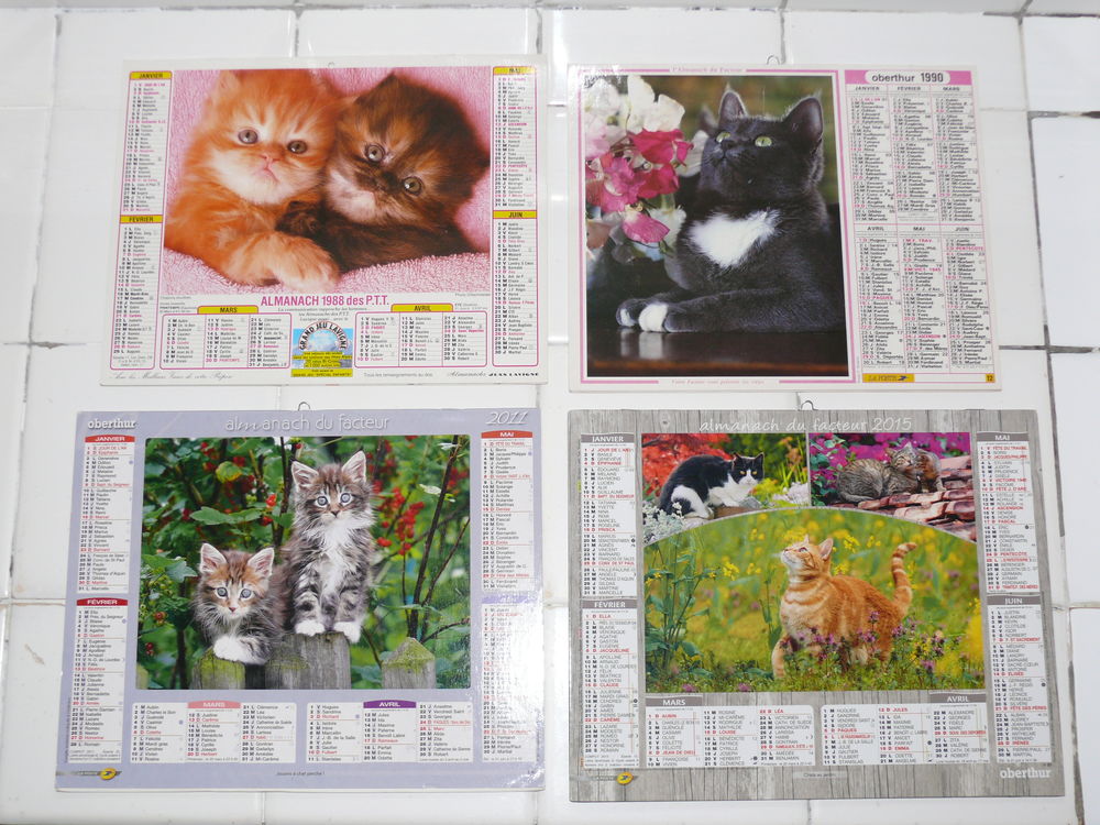 Calendriers th�me  CHATS  4 Saintes (17)