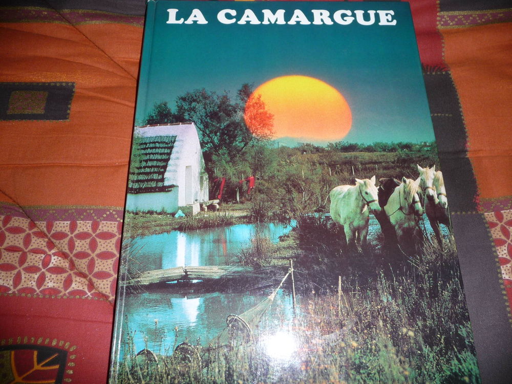 LA CAMARGUE 3 Le Breuil (71)