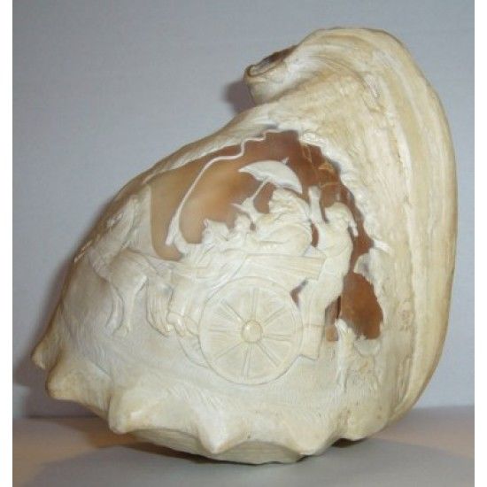 Cam�e, coquillage sculpt� fin XVIIIe 220 Cruseilles (74)