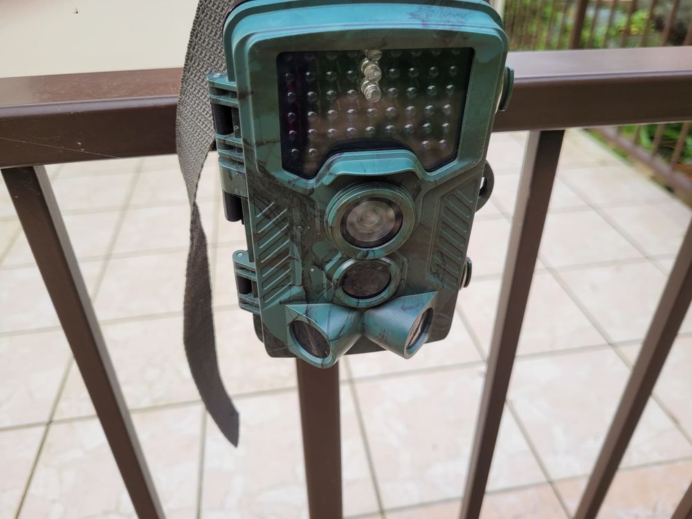 Cam�ra de chasse - pi�ge photos 30 Carignan (08)