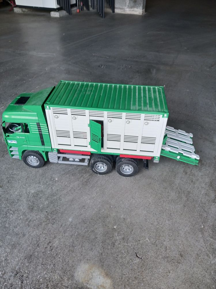 CAMION ET PETITS ANIMAUX 10 Saint-Martin-de-Bernegoue (79)