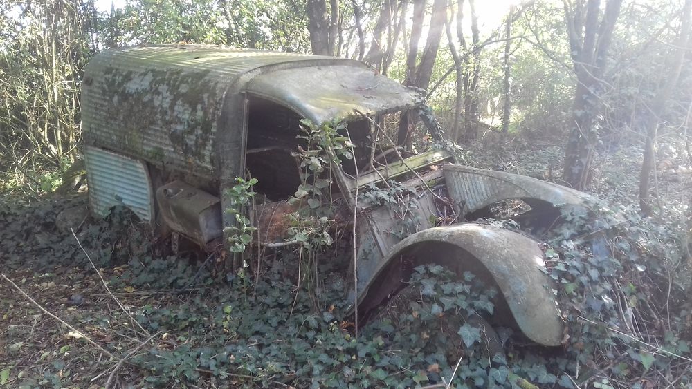 2 cv camionnette 0 Louailles (72)