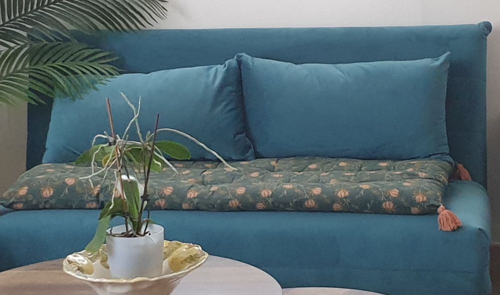 Canap� lit d�appoint  2 places 150 Agde (34)