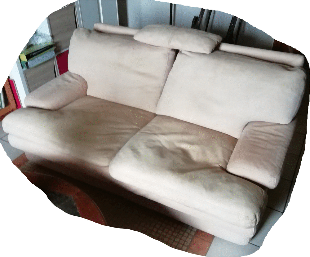 canap� buffle �cru excellent �tat 600 Boug�-Chambalud (38)