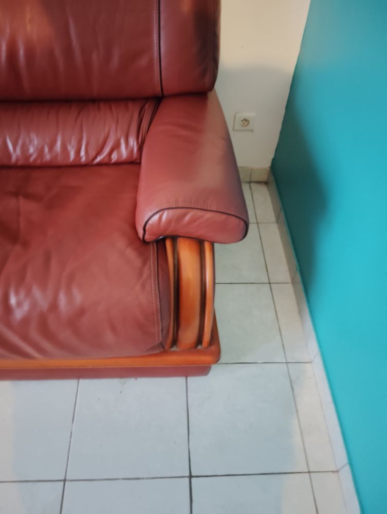 Canap� cause d�m�nagement 100 Saint-Julien-de-Concelles (44)