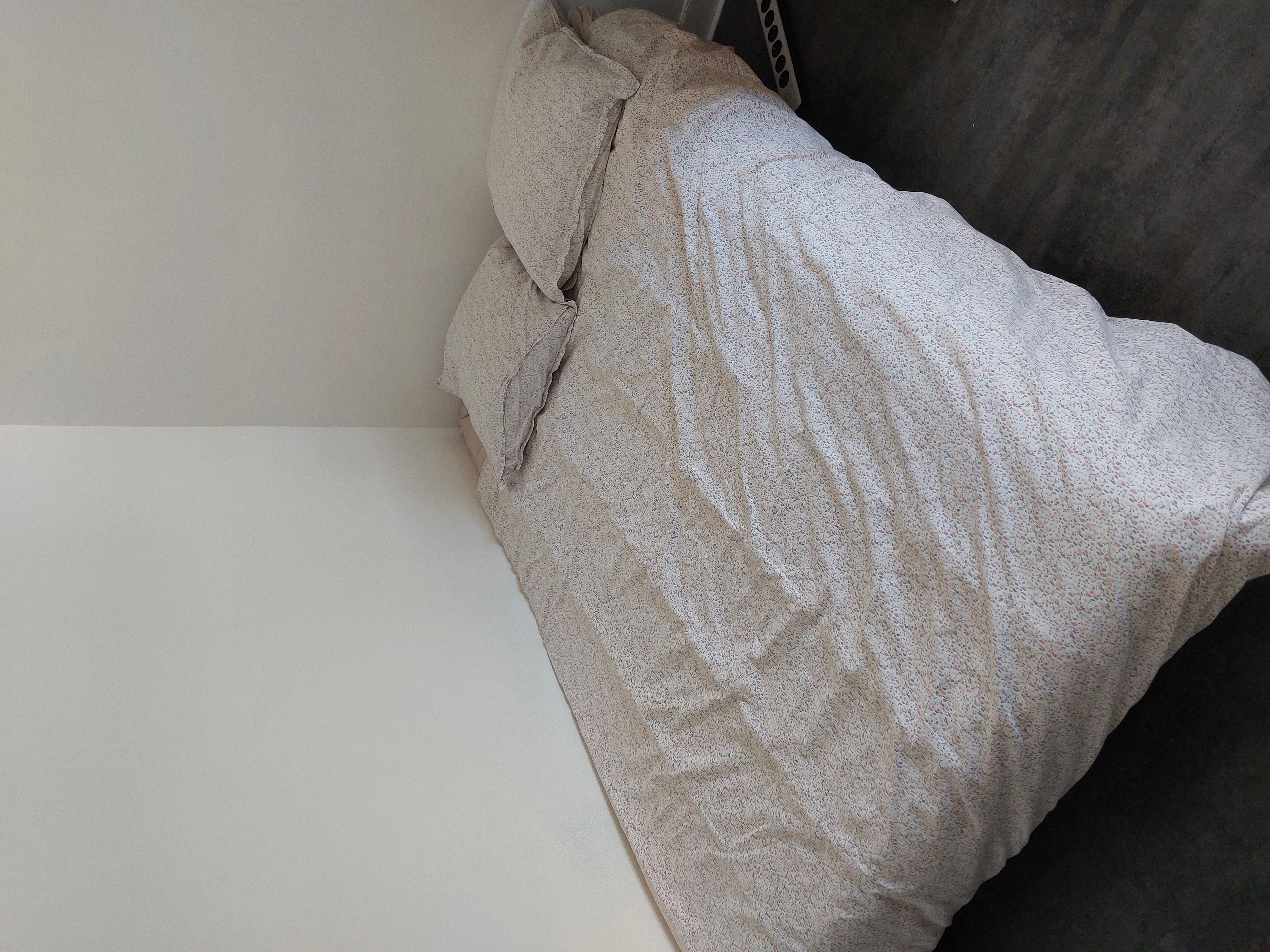 Canap� clic-clac 200 Orl�ans (45)