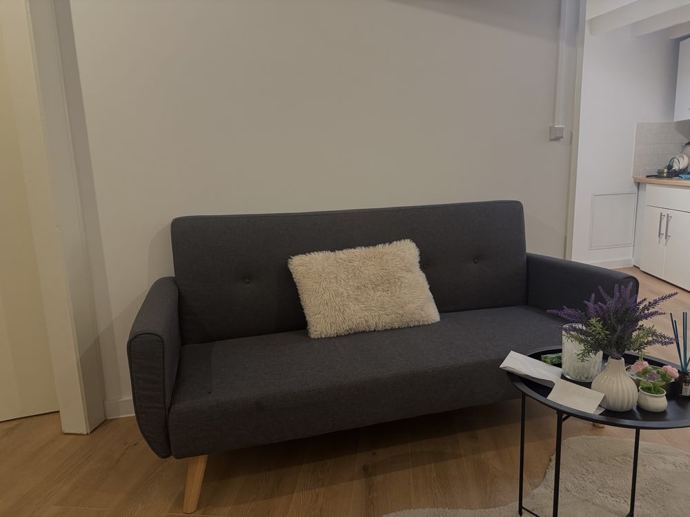 Canap� clic-clac IKEA gris fonc�, convertible 2 places 130 Lyon 7 (69)