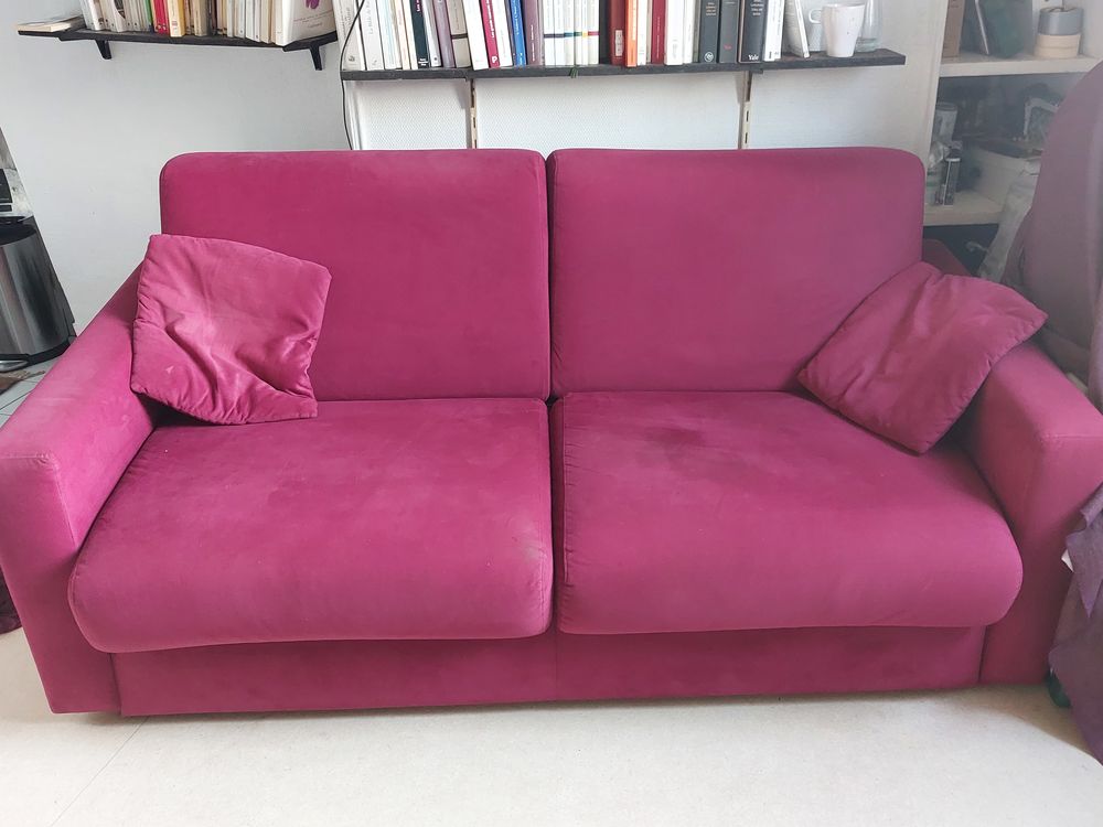 canap� convertible avec sommier lattes de bois 250 Paris 19 (75)