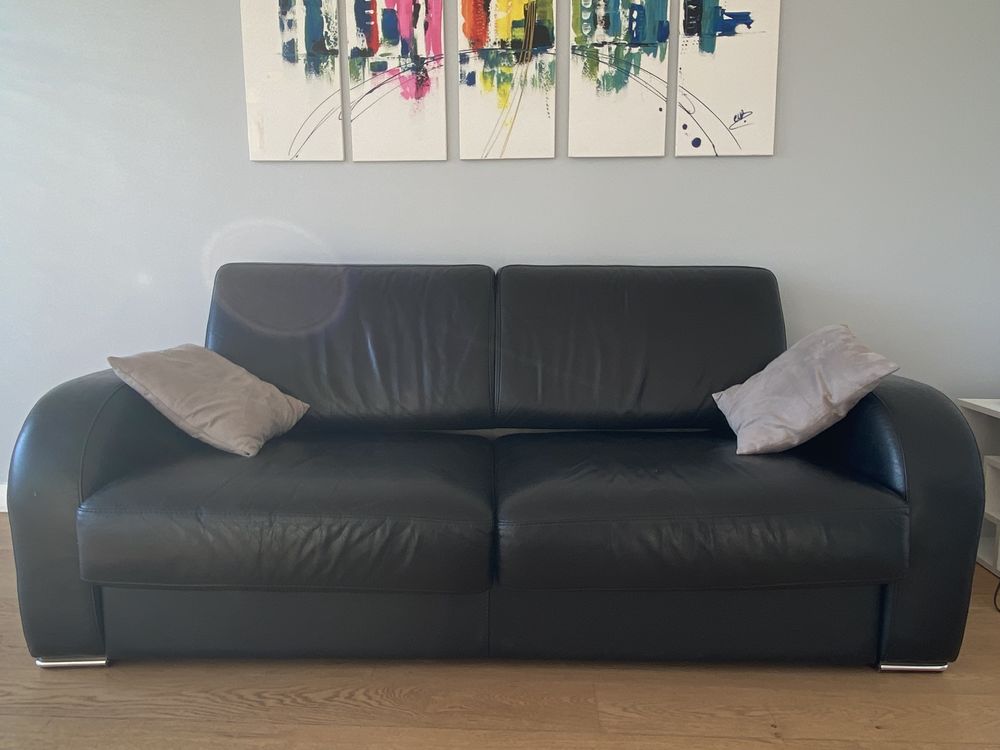Canap� convertible noir en cuir v�ritable ? 2/3 places 200 Meudon (92)