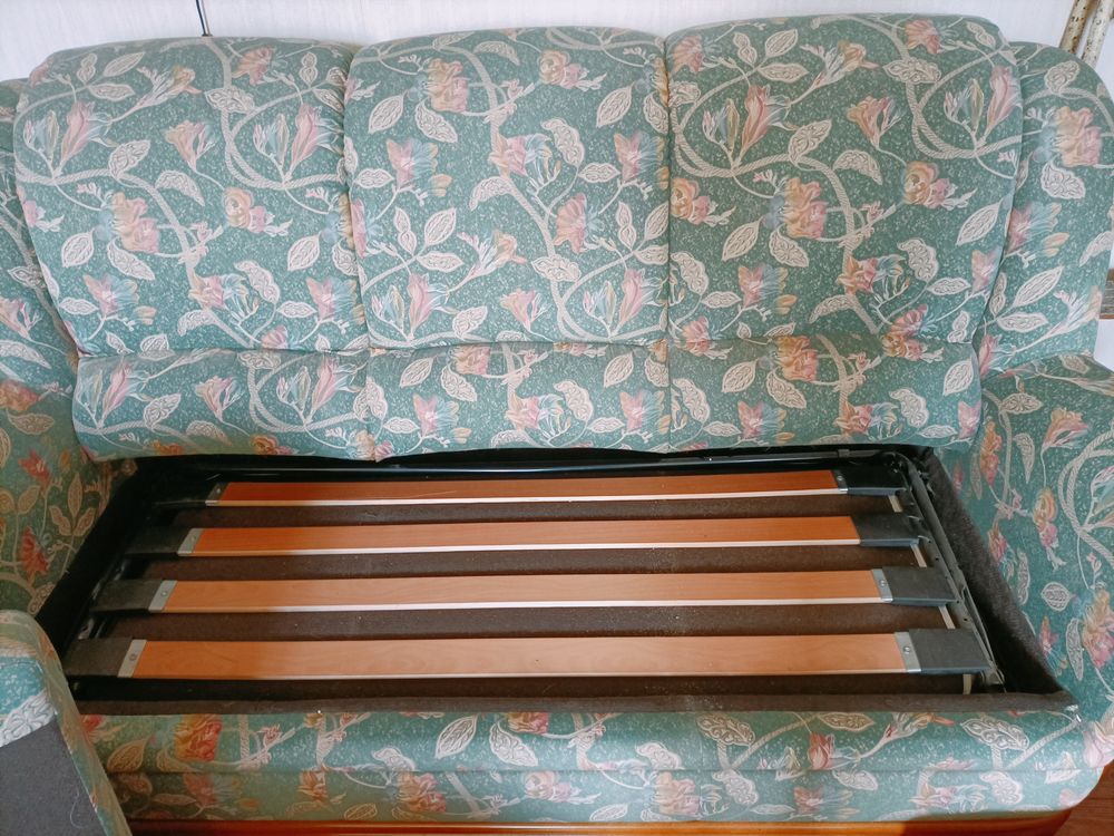 Canap� convertible 3 places tissu fleurable 40 Caluire-et-Cuire (69)