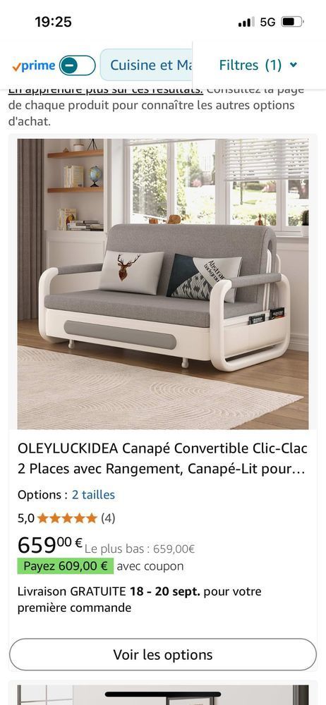 canap� Lit Convertible 449 La Destrousse (13)