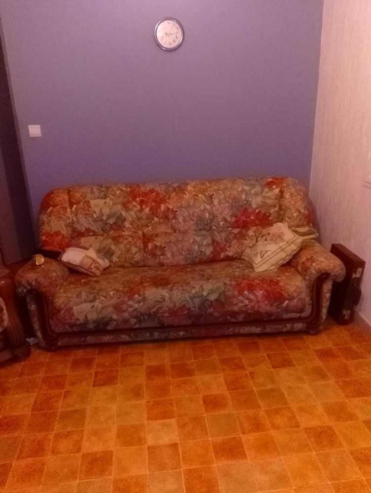 canap� convertible 70 Neuvic (19)