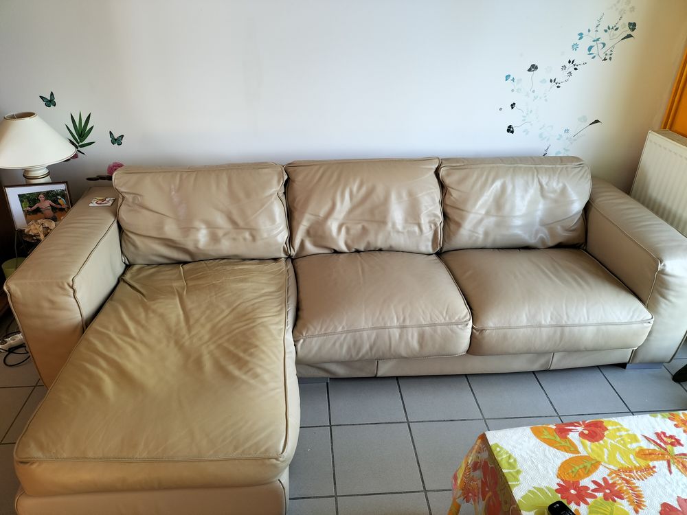 Canap� cuir beige 300 La Rochelle (17)