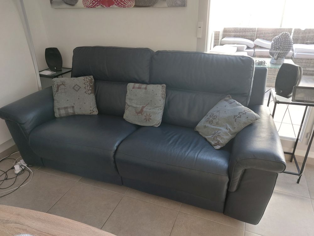 canap� cuir bleu 450 Ruy (38)