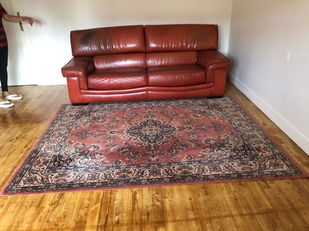 Canap� cuir center 250 Douarnenez (29)