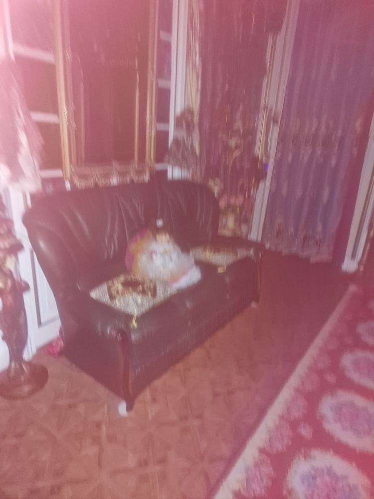 Canap� cuir convertible 350 Saint-Etienne (42)