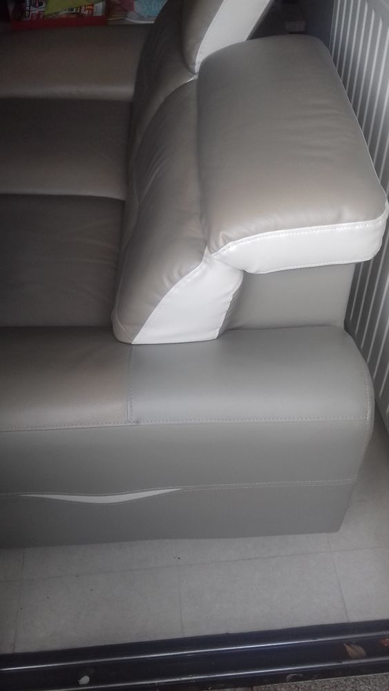 canap� cuir deux places 230 La Rochelle (17)