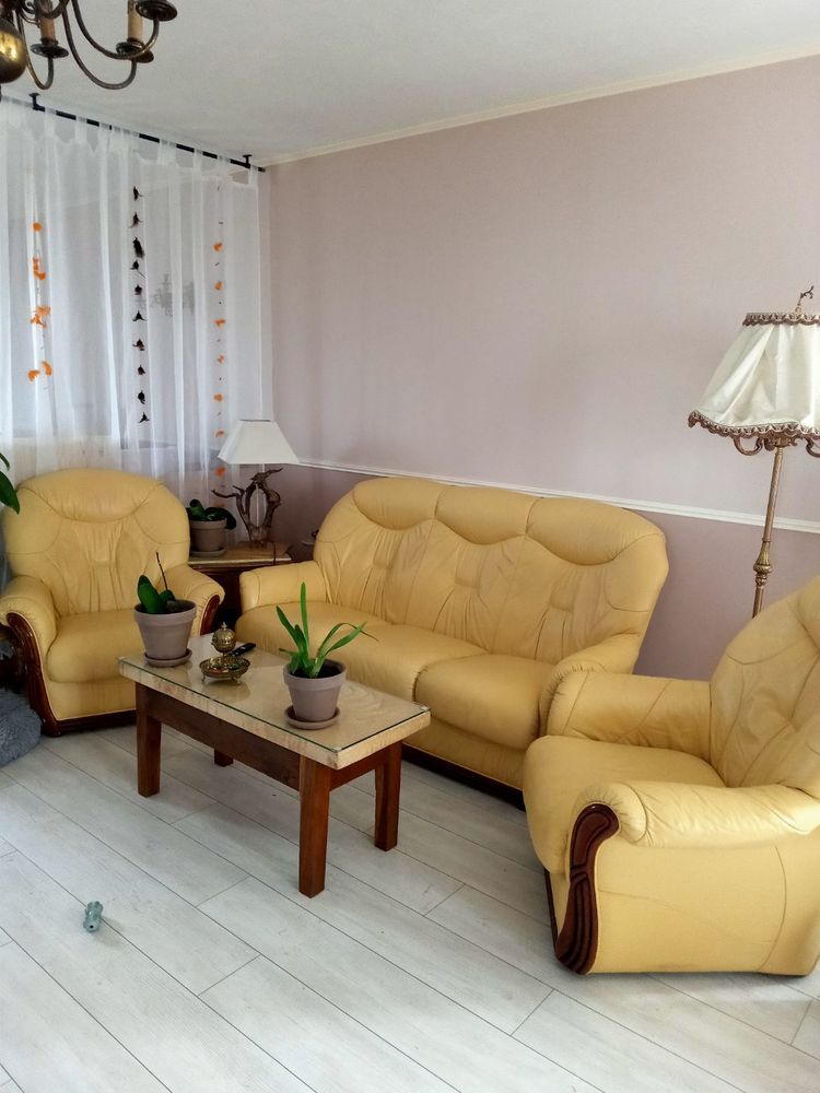 Canap� cuir et ses 2 fauteuils 250 Parsac (23)