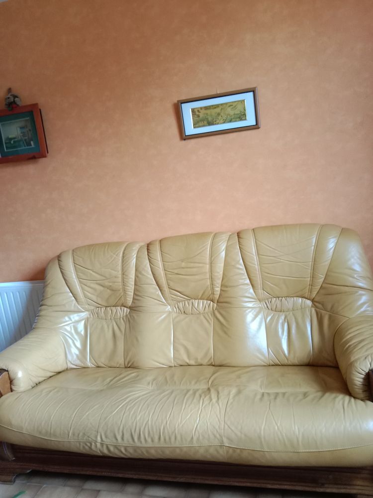 de canap� cuir + 2 fauteuils d'occasion 175 Cellettes (41)