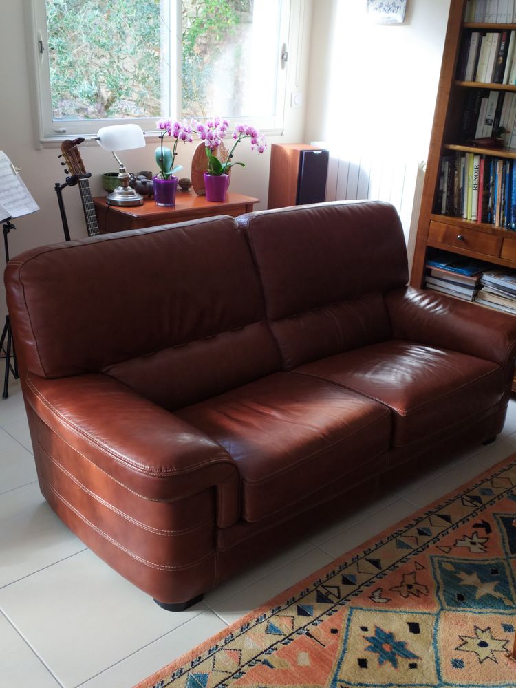 Canap� cuir Melbourne 300 N�mes (30)