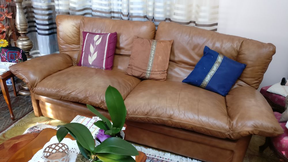 Canap� cuir 3 places 99 Sassenage (38)