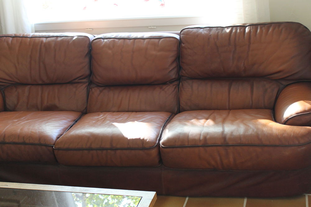 canap� cuir 3 places 300 Lapeyrouse-Mornay (26)