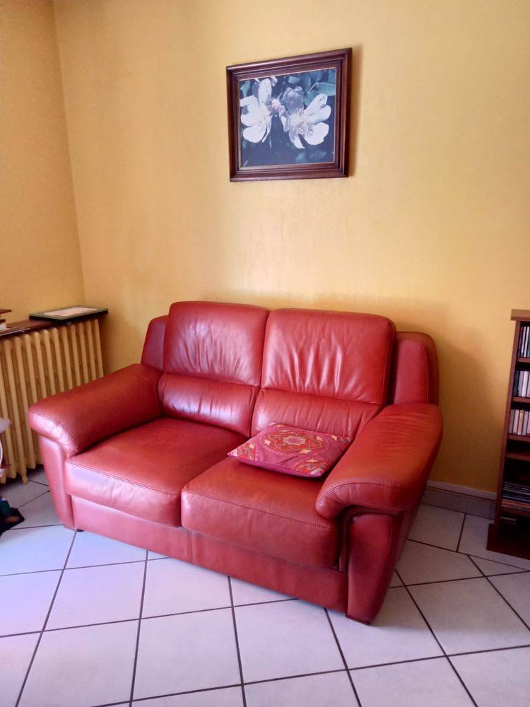 Canap� Cuir 2 places 200 Toulouse (31)