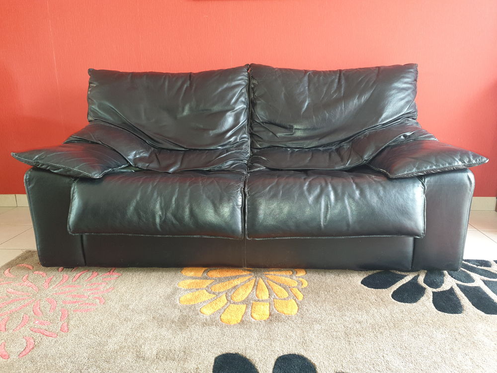 CANAPE CUIR 2 PLACES 220 Artigueloutan (64)