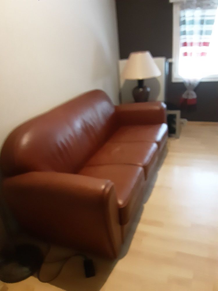 Canap�  cuir  3 places 55 Saint-Just (01)