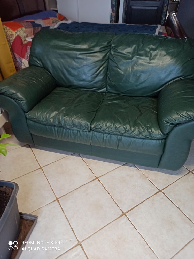 Canap� cuir 2 places 100 Cremps (46)