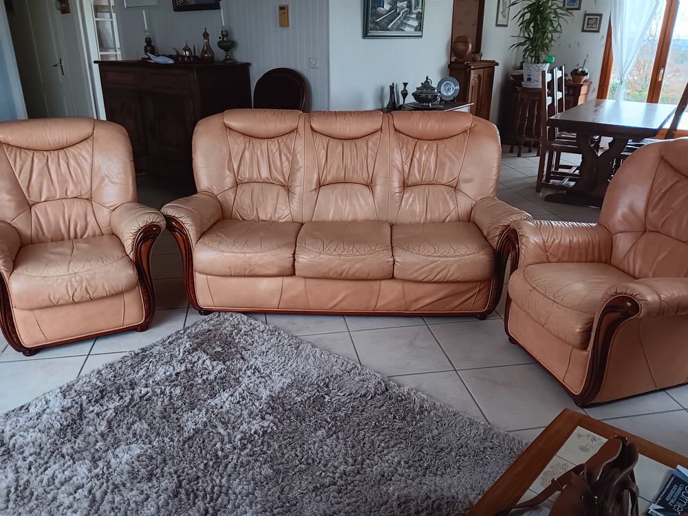 canap� cuir 3 places 
2 fauteuils 200 Saint-Pierre-le-Mo�tier (58)