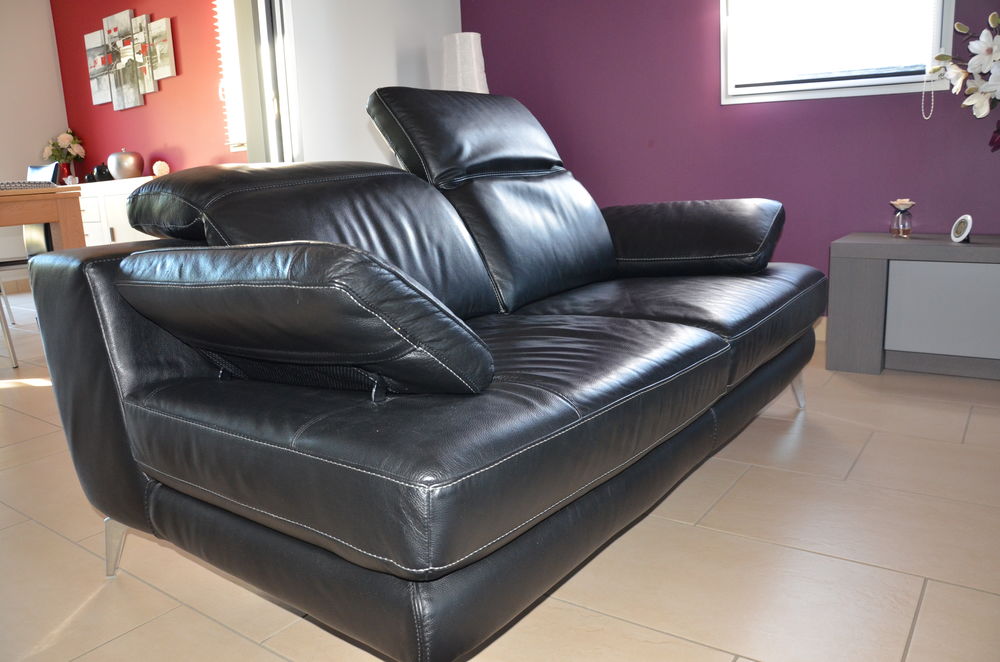 Canap� en cuir pleine peau 2 places 400 Douai (59)