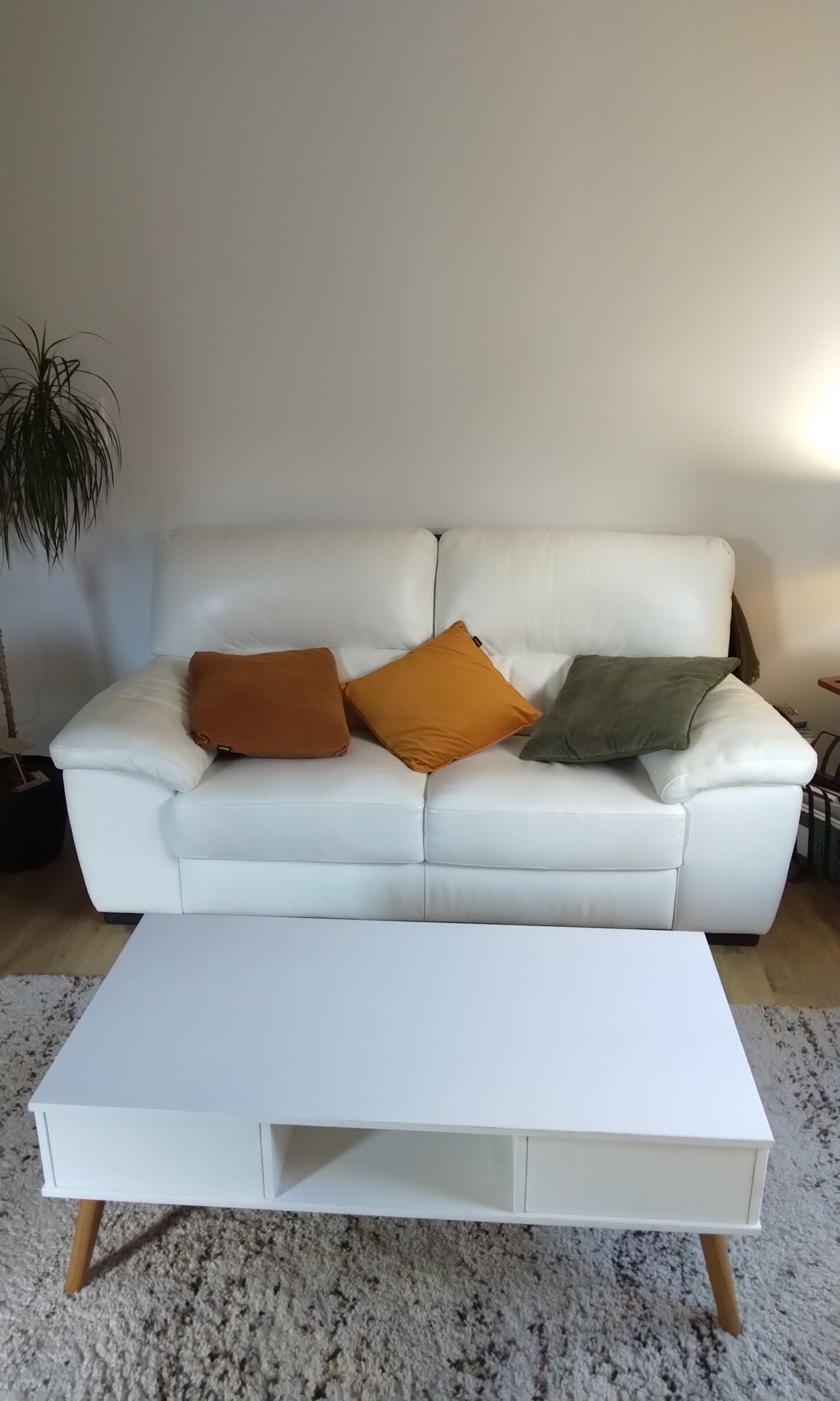canap� cuir poltron et sofa 480 Brive-la-Gaillarde (19)