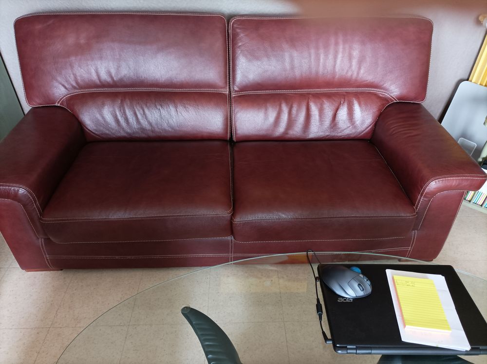 Canap� cuir prune 300 Tours (37)