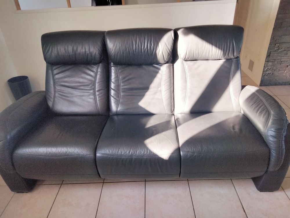 Achetez Canapé Cuir Relax Occasion Annonce Vente à Loie 85 Wb170408584 