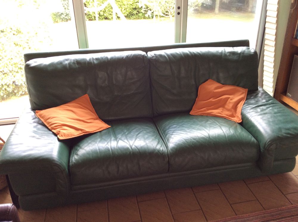 Canape cuir Roche Bobois 0 Guidel (56)