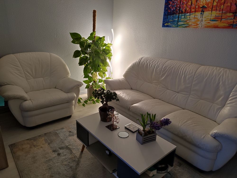 Canap� cuir v�ritable blanc 3 places + 1 fauteuil d appoint 250 Grigny (69)