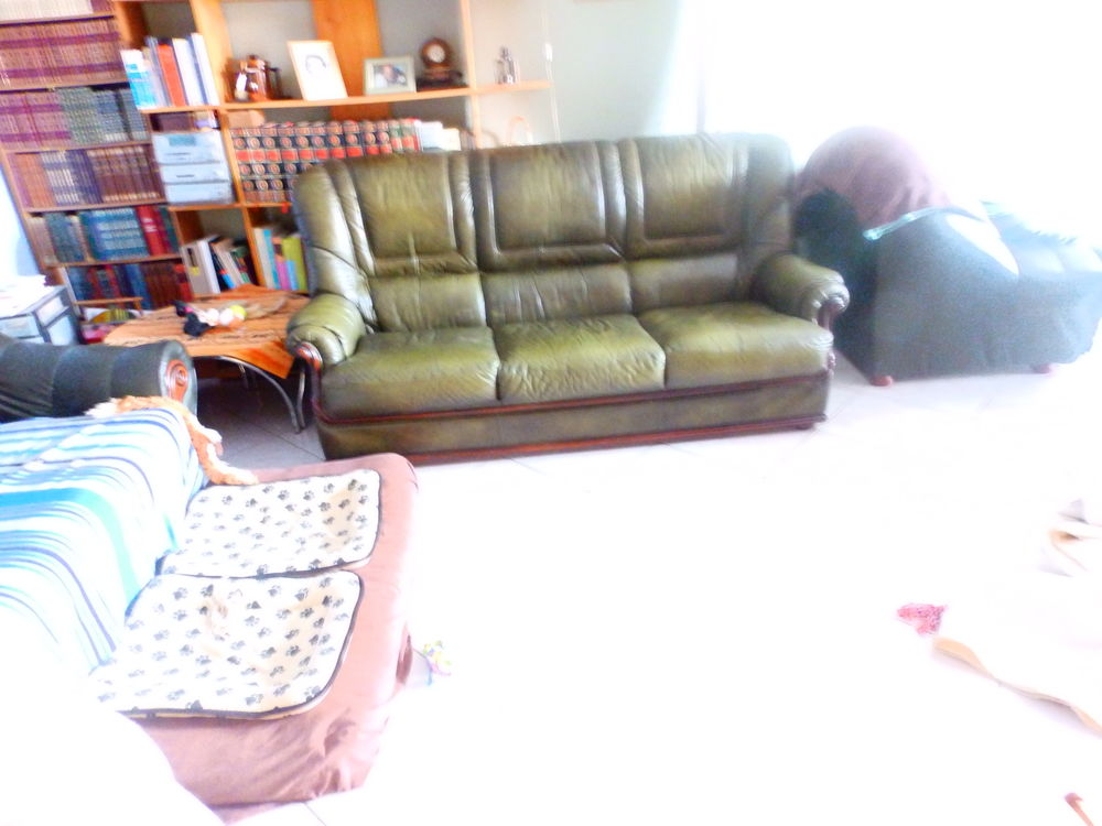 canap� cuir 60 Lunel (34)