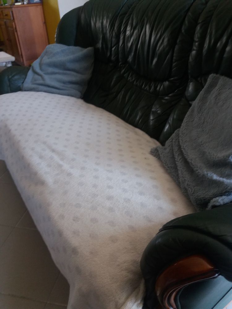 Canap� en cuir 50 Saint-Savin (33)