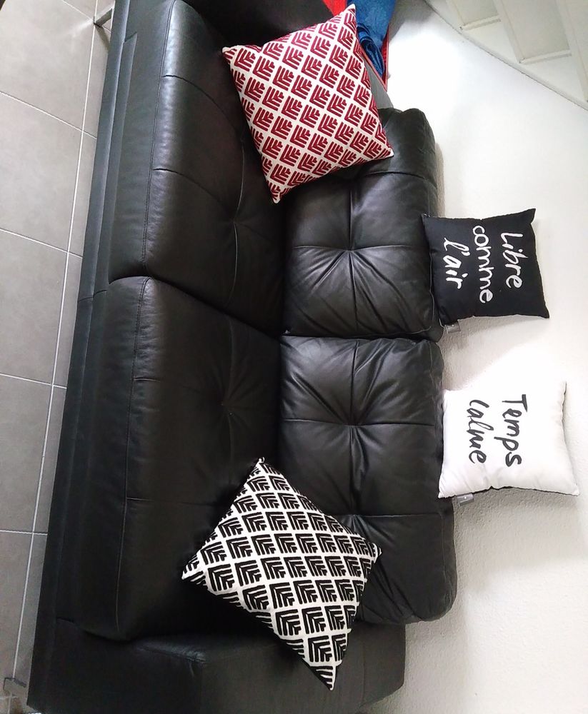 Canap� en cuir 200 Marseillan (34)