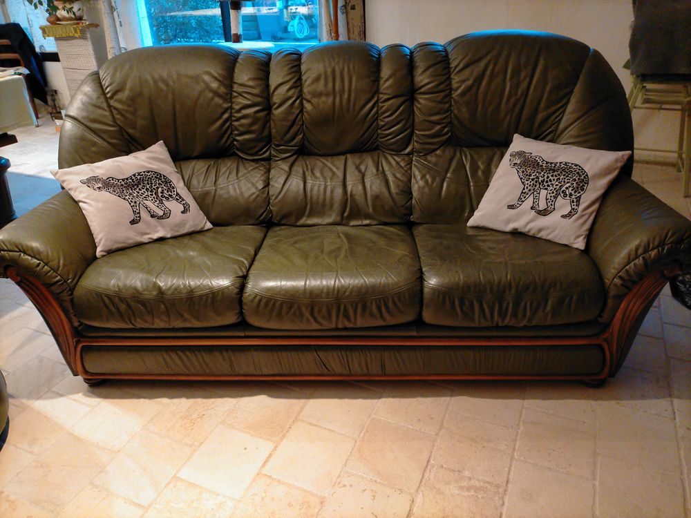 canap� cuir 200 Br�z� (49)